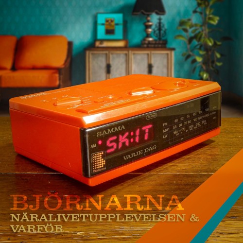 Näralivetupplevelsen/Varför