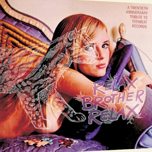 Relax Brother, Relax: A Twentieth Anniversary Tribute to Teenbeat Records
