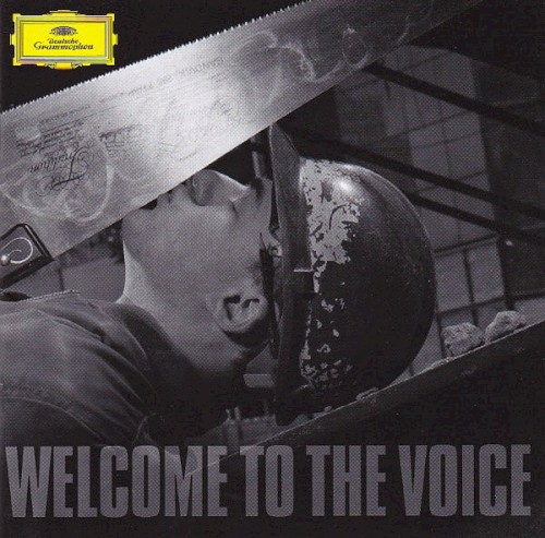 Welcome to the Voice