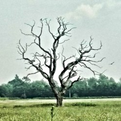 In Isolation