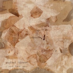 I Can’t Wake You / Altona