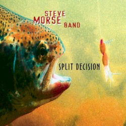 Split Decision