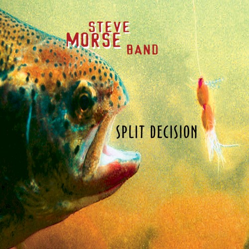 Split Decision