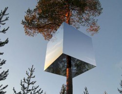 Raoul Salvaje del Bosque’s “Camp Out”