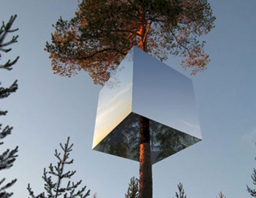 Raoul Salvaje del Bosque’s “Camp Out”