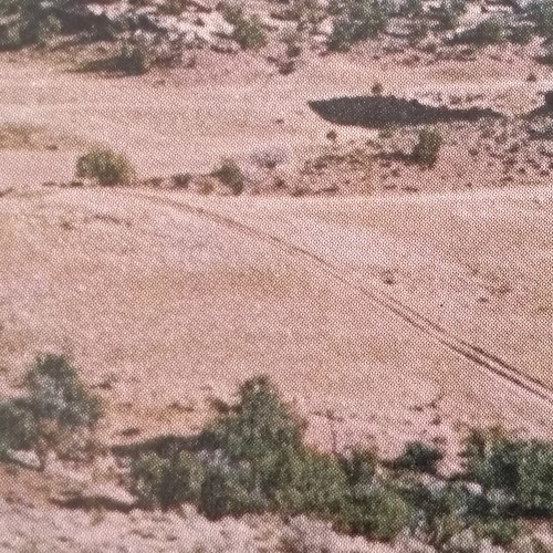 Music for Barren Days #05