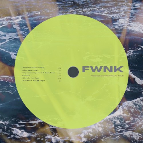 Fwnk