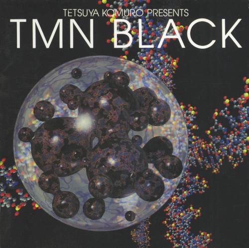 Tetsuya Komuro Presents TMN BLACK
