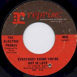 Everybody Knows You're Not In Love / You've Never Had It Better