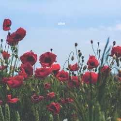 Alive