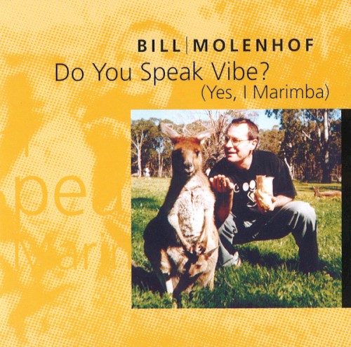 Do You Speak Vibe? (Yes, I Marimba)