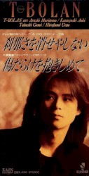 刹那さを消せやしない