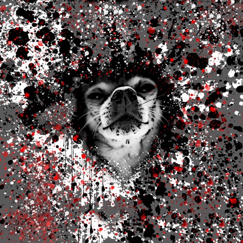 Splatter Hound