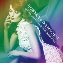 Spectrum (Say My Name) (Calvin Harris remix)