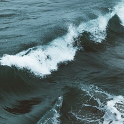Ocean Compilation