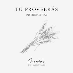 Tú proveerás instrumental