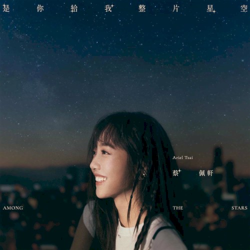 是你給我整片星空