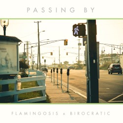 Passing By