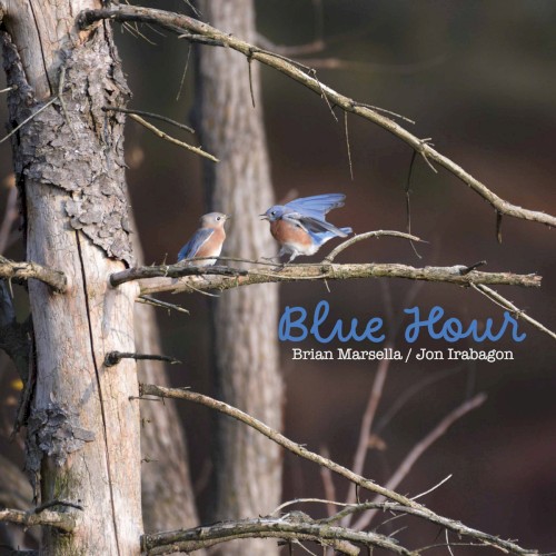 Blue Hour