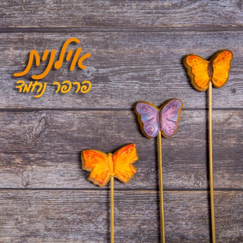 פרפר נחמד