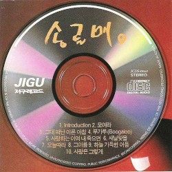 송골매 9