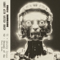 Robot With Rusted Brain