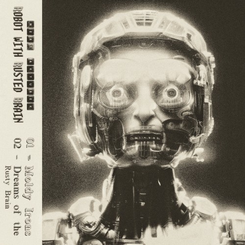 Robot With Rusted Brain