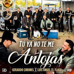 Tú ya no te me antojas