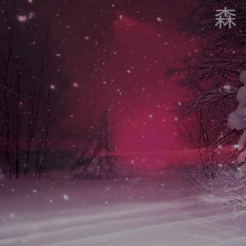 森