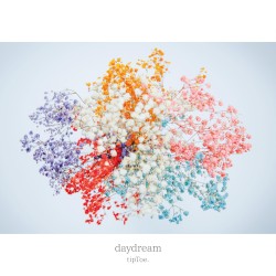 daydream