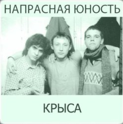 Крыса