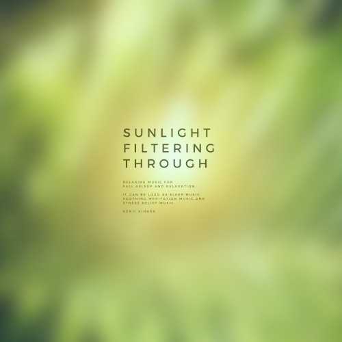 Sunlight Filtering Through