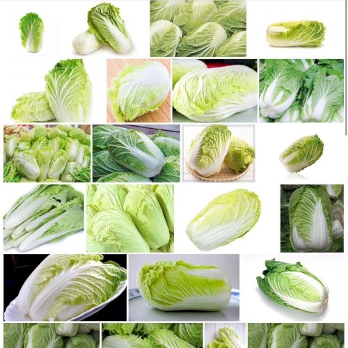 凉拌的凉菜