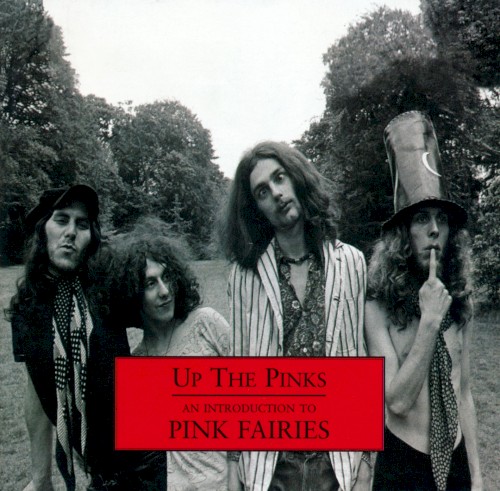 Up The Pinks: An Introduction to Pink Fairies