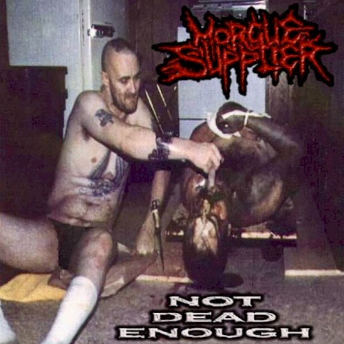 Not Dead Enough