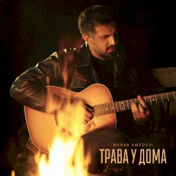 Трава у дома