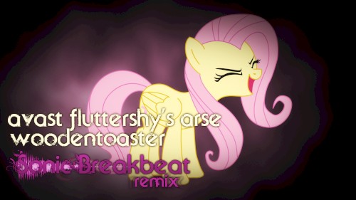 Avast Fluttershy's Arse (Sonic Breakbeat Remix)