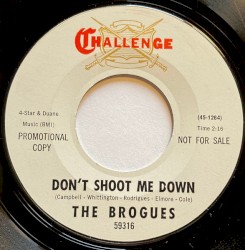 Don't Shoot Me Down