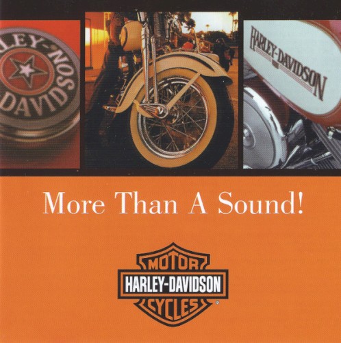 Harley-Davidson: More Than a Sound!