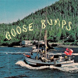 Goose Bumps
