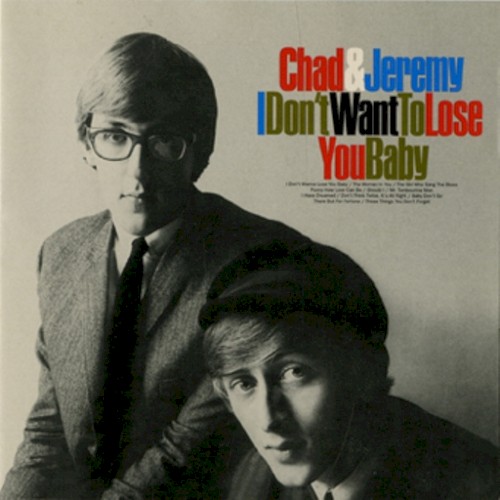 I Don't Want to Lose You Baby