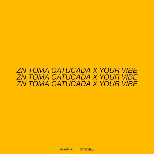 ZN TOMA CATUCADA X YOUR VIBE