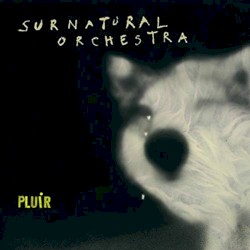 Pluir