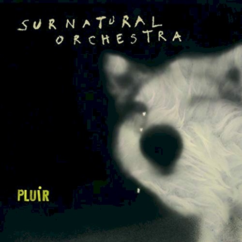 Pluir
