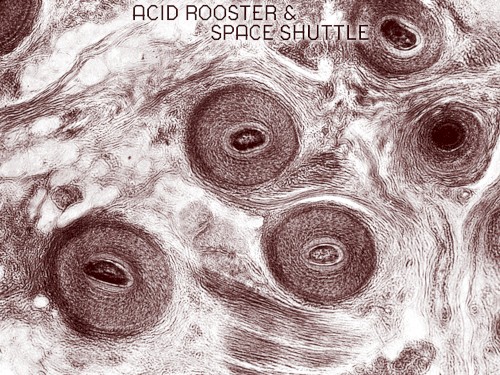 Live at Desi