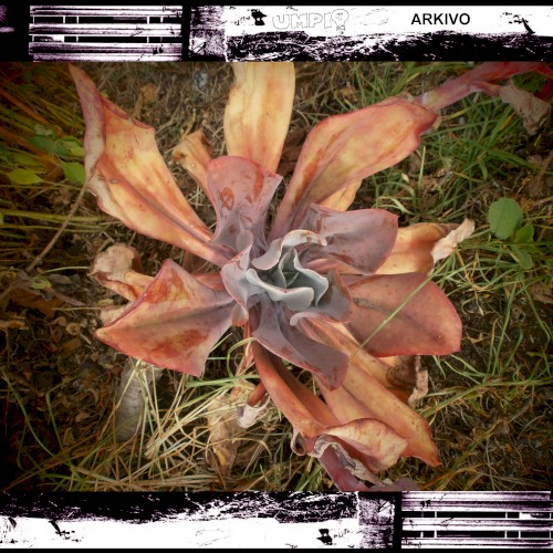ARKIVO