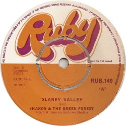 Slaney Valley
