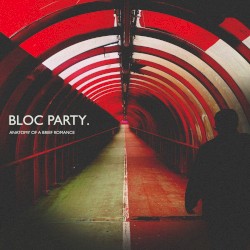 Anatomy of a Brief Romance