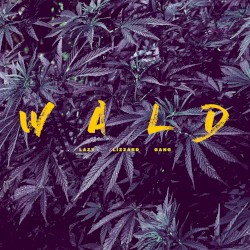 Wald