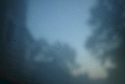 Elysian Fields